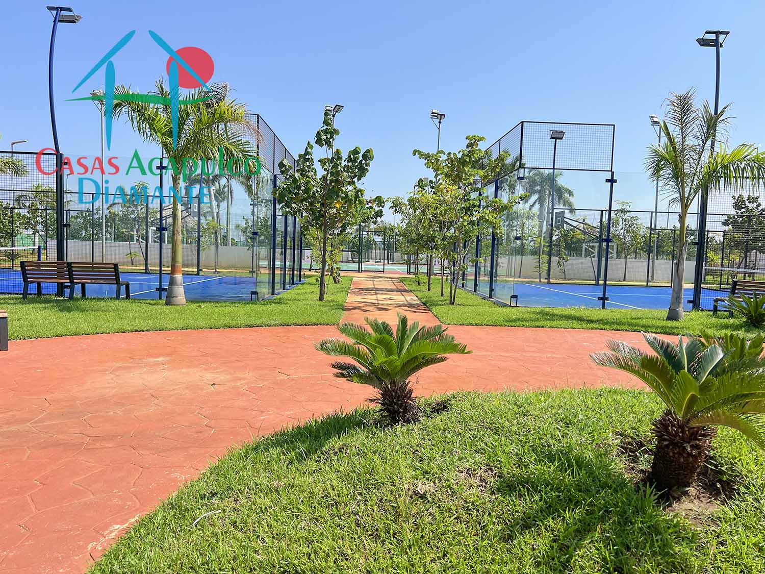 Dream Diamante - Canchas deportivas 2